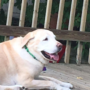 Meet your Posher, Aida